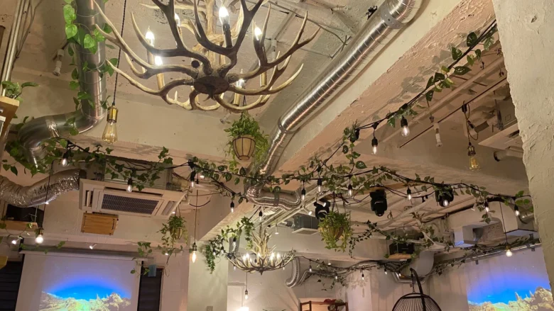 渋谷ガーデンパティオは、貸切に特化したおしゃれ居酒屋です！
20人・３0人・40人・50人など推し会はお任せください！