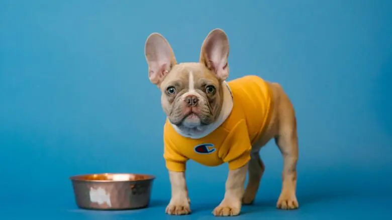 渋谷ガーデンパティオは、貸切に特化したおしゃれ居酒屋です！
20人・３0人・40人～最大100人などペット可パーティーはお任せください！